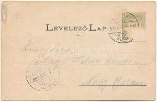 1902 Sepsiszentgyörgy, Sfantu Gheorghe; látkép, honvéd emlékszobor. Gere István fényképész kiadása, ...