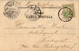 1903 Sinaia, Monastirea / monastery (crease)