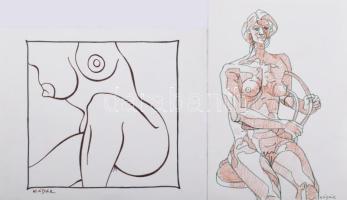 Kádár György (1912-2002): 9 női akt rajz. Tus, papír. Mindegyik jelzett. 23×16 és 50x36 cm körüli mé...