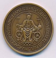 Fritz Mihály (1947-) 1983. "Királyi Okirat 800 éve említi Szegedet - MÉE Szegedi Szerv." kétoldalas bronz emlékérem (42,5mm) T:AU patina