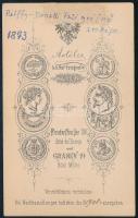 1873 Pálffy-Donati Paulina (1829-1881) grófnő, gróf Pálffy Rudolf (1822-1878) feleségének portréja, ...