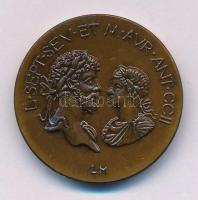 Lesenyei Márta (1930-) 1991. "L. SEPT. SEV. ET M. AVR. ANT. CCII / I. O. DOLICHENO - SAVARIA MCMXCI" kétoldalas bronz MÉE emlékérem (29mm) T:AU Adamo SH11