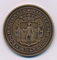 Bognár György (1944-) 1991. "MÉE Nógrád Megyei Szervezete - Salgó vára" kétoldalas bronz e...