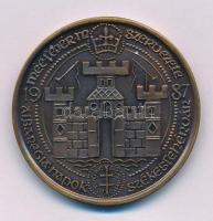 Fritz Mihály (1947-) 1987. "MÉE Fejér Megyei Szervezete - Székesfehérvár / Zsigmond király"...