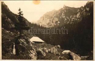 Bucsecs-hegység, Butschetsch, Muntii Bucegi; (fl)