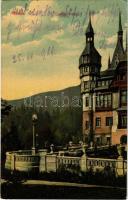 Sinaia, Castelul Peles. Ad. Maier &amp; D. Stern / castle (EK)