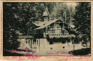 1903 Sinaia, Castelul Foisor. Ad. Maier &amp; D. Stern / castle (wet corners)
