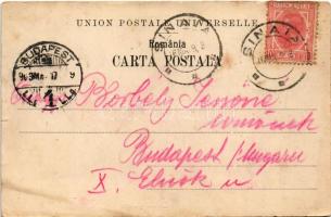 1903 Sinaia, Castelul Foisor. Ad. Maier &amp; D. Stern / castle (wet corners)