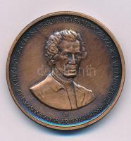 Lapis András (1942-) 1988. "Szegedi Somogyi Károly könyvtár avatásának 100. évfordulója" kétoldalas bronz emlékérem (42,5mm) T:AU patina