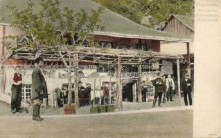 Varcsaró the Restaurant of Cosmanescu (EK)