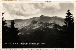 1935 Radnaborberek, Borberek-fürdő, Valea Vinului; Vedere pe Ineu / látkép / mountain peak