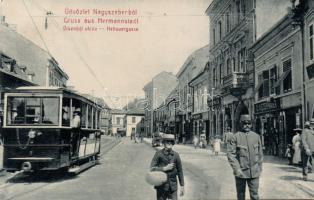 Nagyszeben Disznódi street with the shops of Niedermayer and Wiessler