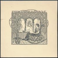 Parádi Jenő (?-?): Piroska könyve. Szecessziós ex libris, háttérben a kolozsvári Mátyás szoborral. Klisé. Jelzett a dúcon 14,5x14,5 cm