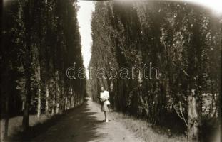 16 db régi negatív vegyes felvételekkel, közte balatoni képekkel, 6x9 cm