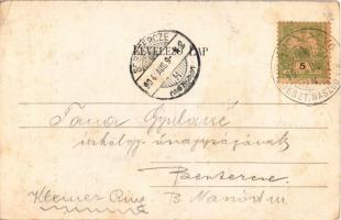 1904 Radnaborberek, Borberek-fürdő, Valea Vinului; Ördög-szoros / mountain pass, gorge (EK)