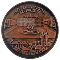 Szabolcs Péter (1942-) 1985. "MÉE Zala megyei szervezete - Zalaegerszeg / Zalaegerszeg rendezett tanácsú város 1885-1985" kétoldalas bronz emlékérem (42,5mm) T:AU patina