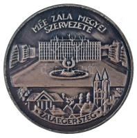 Szabolcs Péter (1942-) 1985. "MÉE Zala megyei szervezete - Zalaegerszeg / Zalaegerszeg rendezett tanácsú város 1885-1985" kétoldalas ezüstpatinázott bronz emlékérem (42,5mm) T:AU patina