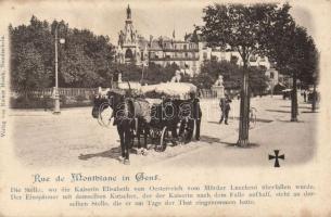 Genf Montblanc street, where Sissi was stabbed