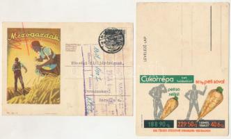 2 db RÉGI magyar reklám grafikai képeslap: 'Cukorrépa' és 'Mezőgazdák' / 2 pre-1945 Hungarian advertisement cards