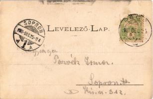 1903 Pécs, Király utca a Lyceum templomával, Janter Ferenc üzlete. Kiadja Fischer Ferenc