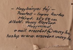 Vassy Erzsébet (1952-): Nagybányai táj. Pasztell, karton, jelzett, hátoldalán autográf felirattal, f...