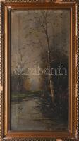 Jelzés nélkül, XX. sz. eleje: Vízparti táj. Olaj, vászon. Apró sérüléssel. Dekoratív, sérült fakeretben, hátoldalán Hoffmann Ferenc budapesti képkeretező régi címkéjével 52,5×26 cm