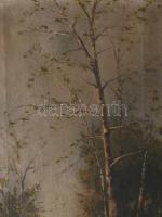 Jelzés nélkül, XX. sz. eleje: Vízparti táj. Olaj, vászon. Apró sérüléssel. Dekoratív, sérült fakeret...