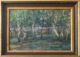 Gergely Pál (-): Nyírfák, 1961. Akvarell, papír, jelzett. Hátoldalán Képcsarnok Vállalat címkéjével. Üvegezett fakeretben, 28,5×38,5 cm