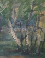 Gergely Pál (-): Nyírfák, 1961. Akvarell, papír, jelzett. Hátoldalán Képcsarnok Vállalat címkéjével....