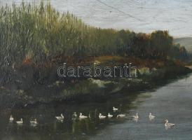 Baky Albert (1868-1944): Kacsák a tavon. Olaj, fatábla, jelzett. Dekoratív, kissé sérült fakeretben....
