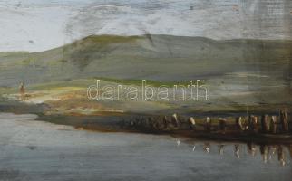 Baky Albert (1868-1944): Kacsák a tavon. Olaj, fatábla, jelzett. Dekoratív, kissé sérült fakeretben....