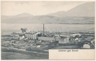 Zernest, Zernyest, Zarnesti; Cellulózgyár. M. Bloos kiadása / cellulose factory, pulp factory