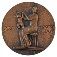 Gáti Gábor (1937-) 1974. "Scipiades Elemér 1875-1944. / PRO MATERNITATE" kétoldalas öntött...