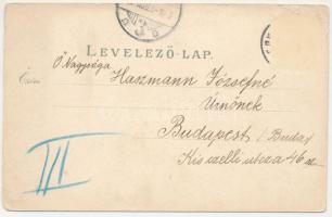 1900 Herkulesfürdő, Baile Herculane; Kurpark, Herkulesbad v. d. Coroninihöhe, Herkulesplatz, Szapáry...