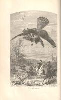 Stanley, Edward: 
A Familiar History of Birds.
London, 1902. Longmans, Green and Co. (Printed by B...