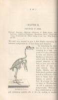 Stanley, Edward: 
A Familiar History of Birds.
London, 1902. Longmans, Green and Co. (Printed by B...