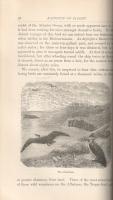 Stanley, Edward: 
A Familiar History of Birds.
London, 1902. Longmans, Green and Co. (Printed by B...