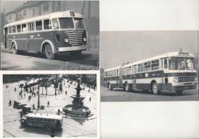 AUTÓBUSZ - 7 db MODERN képeslap / AUTOBUS - 7 modern postcards