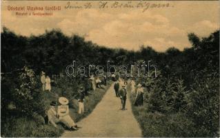 1909 Vizakna, Salzburg, Ocna Sibiului; részlet a fürdőparkból. Budovszky L. kiadása 1003. (W.L. ?) / spa park (gyűrődés / crease)