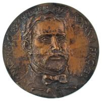 Tóth Sándor (1933-) 1977. "Korányi Frigyes - Nagykálló 1827 december 10. - 1977" / 'Minden karral, melyet a munkának visszaadunk szolgálatot teszünk a hazának'" kétoldalas bronz emlékérem (100mm) T:AU patina Cs. M. 328.