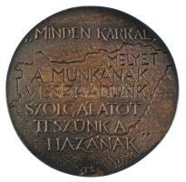 Tóth Sándor (1933-) 1977. "Korányi Frigyes - Nagykálló 1827 december 10. - 1977" / 'M...