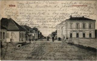 1911 Tövis, Teius; Oroszlán szálloda. Ábrahám Testvérek kiadása / hotel (fl)