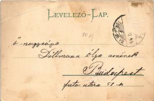 1905 Torda, Turda; Fő tér, Ifj. Balla Miklós, Kajetan, Juhász Mihály üzlete, piac / main square, sho...