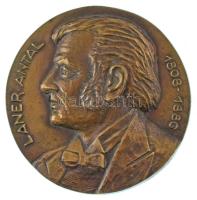 Bartos Endre (1930-2006) DN (~1991.) "Laner Antal 1808-1886" kétoldalas öntött bronz emlékplakett (117mm) T:AU