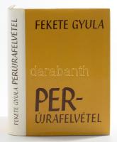 Fekete Gyula: Perújrafelvétel. Bp., Szépirodalmi. DEDIKÁLT! Kiadói egészvászon kötés, papír védőborítóval, jó állapotban.