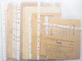 16 db Hódmezővásárhellyel kapcsolatos adózási témájú okmány