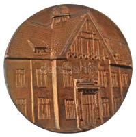 Váró Márton (1943-) DN (~1980.) "Prof. Dr. Szeleczky Gyula" kétoldalas, öntött bronz plake...