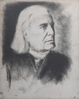 Jelzés nélkül: Liszt Ferenc arcképe. Rézkarc, papír, üvegezett fakeretben, 34×29,5 cm