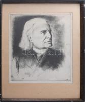 Jelzés nélkül: Liszt Ferenc arcképe. Rézkarc, papír, üvegezett fakeretben, 34×29,5 cm