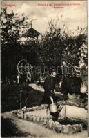 Medgyes, Mediasch, Medias; részlet a Szent Ferenc-rendiek kertjéből, kertészkedő szerzetesek. A rend saját kiadása / garden of the Franciscans, gardening monks